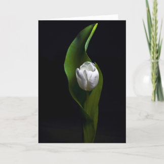 Cartão De Festividades Design da tulipa