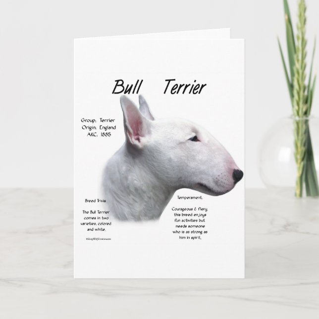 Cartão De Festividades Design de História da Bull Terrier (Frente)