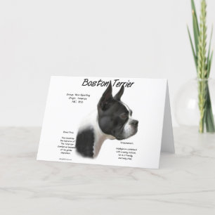 Cartão De Festividades Design de História de Boston Terrier