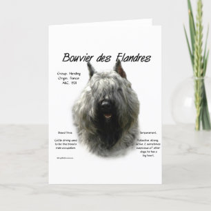 Cartão De Festividades Design de História de Bouvier des Flandres