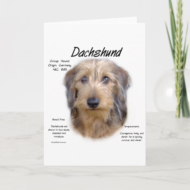 Cartão De Festividades Design de História do Dachshund (wirehair) (Frente)