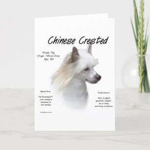 Cartão De Festividades Design de História do Pinto Chinês (powderpuff)