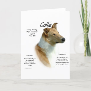 Cartão De Festividades Design de Histórico Collie (estável e suave)