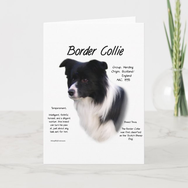 Cartão De Festividades Design de Histórico de Collie de Borda (Frente)