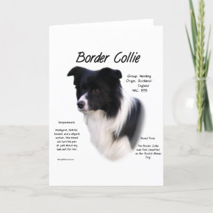 Cartão De Festividades Design de Histórico de Collie de Borda