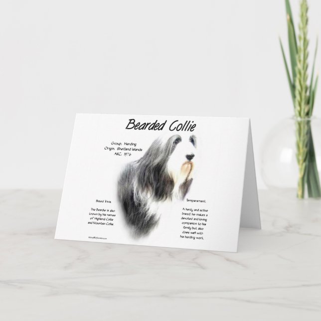 Cartão De Festividades Design farpado da história do Collie (Frente)