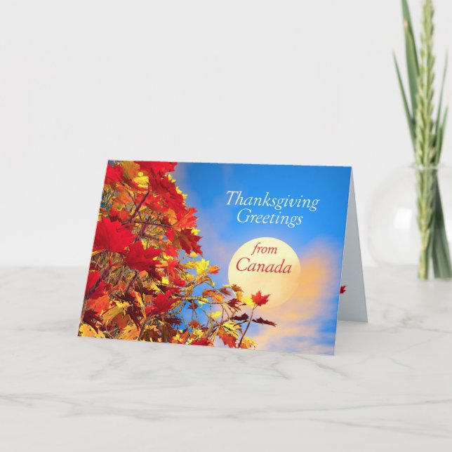Cartão De Festividades Dia de Ação de Graças do Canadá (Frente)
