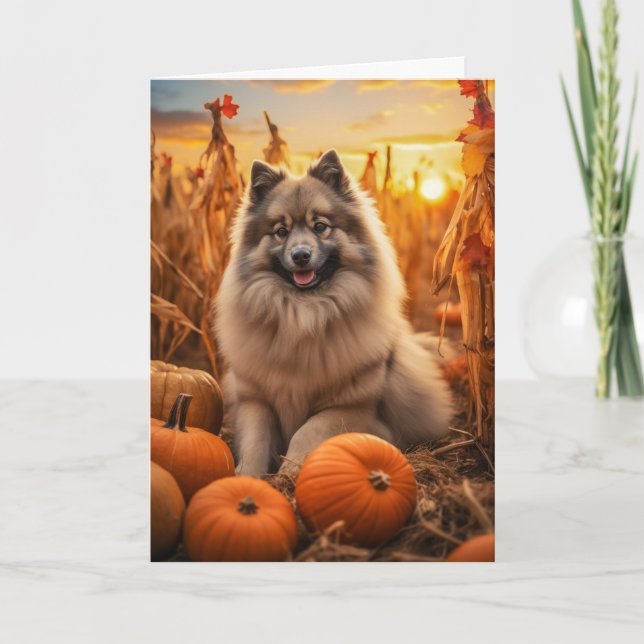 Cartão De Festividades Dia de Ação de Graças Keeshond (Frente)