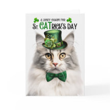 Dia de CATrick da Rua de Gato da Floresta Noruegue