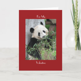 Cartão De Festividades Dia de os namorados de Panda, coça vermelha e abra