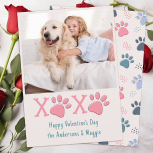 Cartão De Festividades Dia de os namorados XOXO Blush Pastel Pet Dog Foto