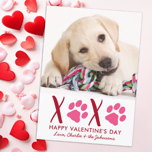 Cartão De Festividades dia de os namorados XOXO Cãozinho Cachorro-Papoei