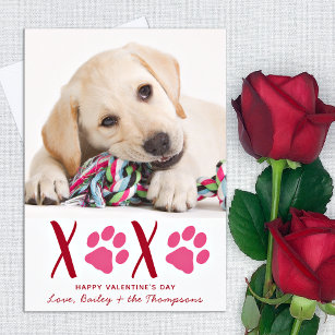 Cartão De Festividades Dia de os namorados XOXO Cute Pet Puppy Dog Foto