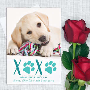 Cartão De Festividades Dia de os namorados XOXO - Foto Cachorro Cachorro
