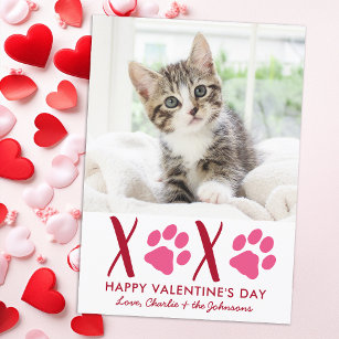 Cartão De Festividades Dia de os namorados XOXO - Foto de Gato de Gato de