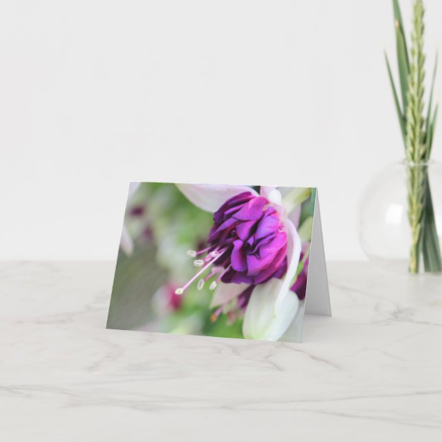 Cartão De Festividades Dificuldade de Roxo Fushia II (Frente)