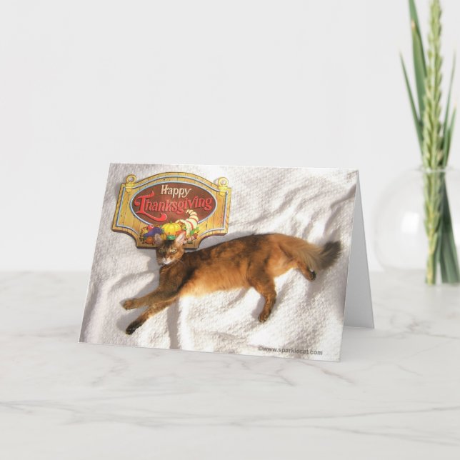 Cartão De Festividades Dissipe a placa de ação de graças da supermodelo (Frente)