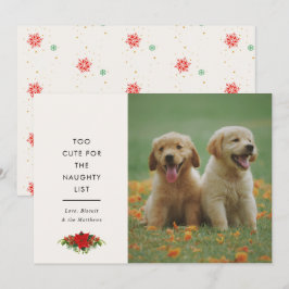 Cartão De Festividades Dito Fofo Mínimo Pet Foto Natalina