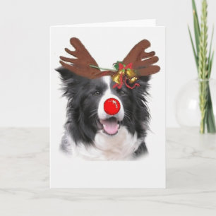 Cartão De Festividades Ditzy Dogs~Original Notecard~Border Collie