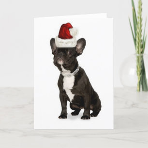 Cartão De Festividades Ditzy Dogs~Original Notecard~French Bulldog