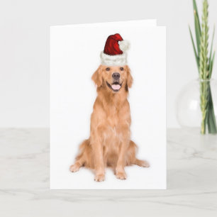 Cartão De Festividades Ditzy Dogs~Original Notecard~Golden Retriever