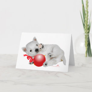 Cartão De Festividades Diversão de Natal com Filhote Westie