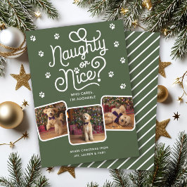 Cartão De Festividades Divertido ou Bonito Animal de Estimação Cachorro G