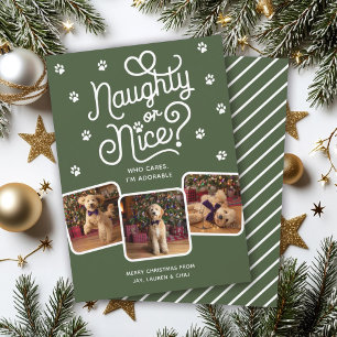 Cartão De Festividades Divertido ou Bonito Animal de Estimação Cachorro G