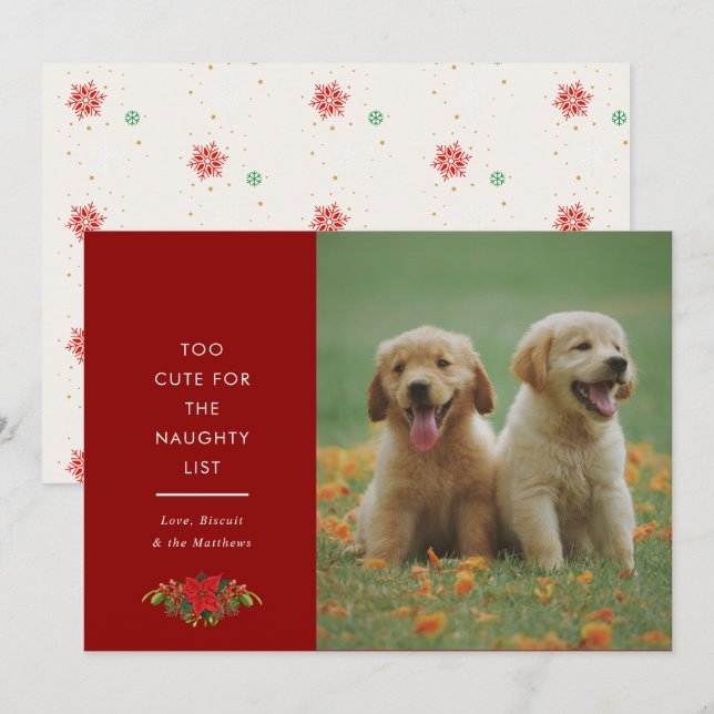Cartão De Festividades Dizer Mínimo Fofo Pet Foto de Natal (Frente/Verso)