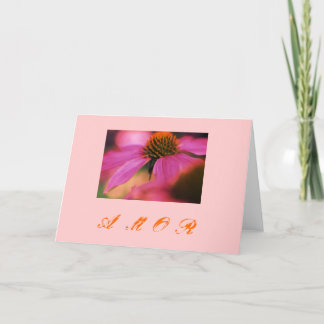Cartão De Festividades Do "amor Echinacea y "