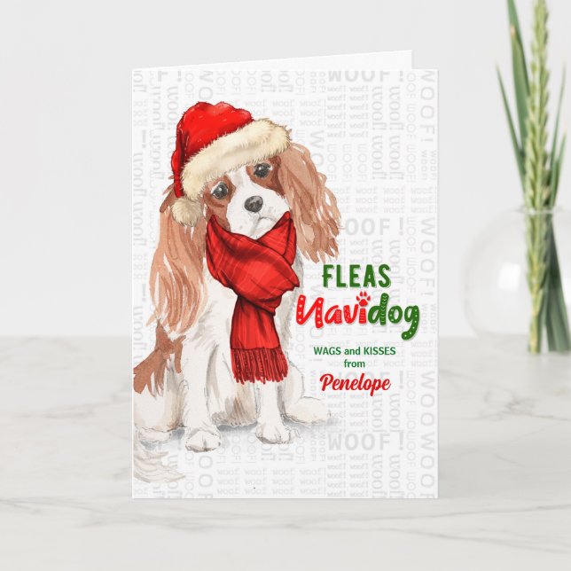 Cartão De Festividades do Cão Engraçado Cavalier King Charles Christmas (Frente)