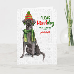 Cartão De Festividades do Dog Black Lab Fleas Navidog Natal