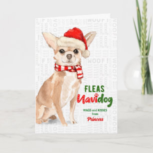 Cartão De Festividades do Dog Funny Chihuahua Christmas
