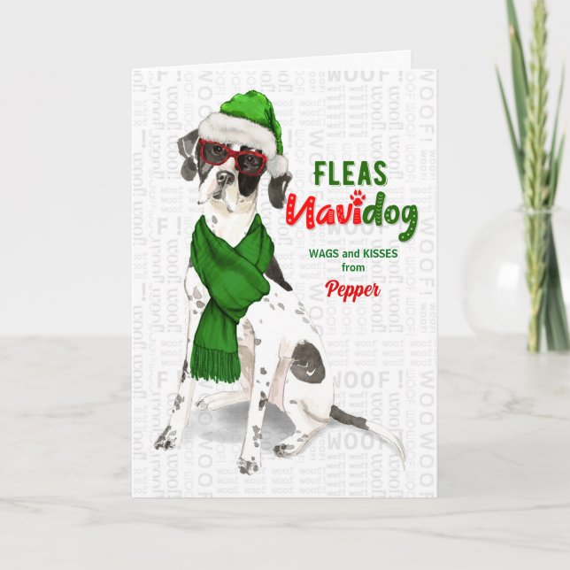 Cartão De Festividades do Dog Funny English Pointer Christmas (Frente)