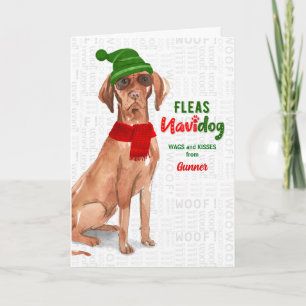 Cartão De Festividades do Dog Funny Húngaro Vizsla Christmas