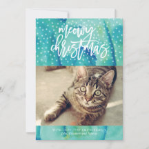 Do Gato "Meowy Christmas" Foto de Natal