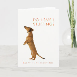 Cartão De Festividades Do I smell stuffing? Dachshund puppy Thanksgiving