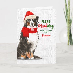 Cartão De Festividades do Natal do Cão da Montanha Dog Bernese
