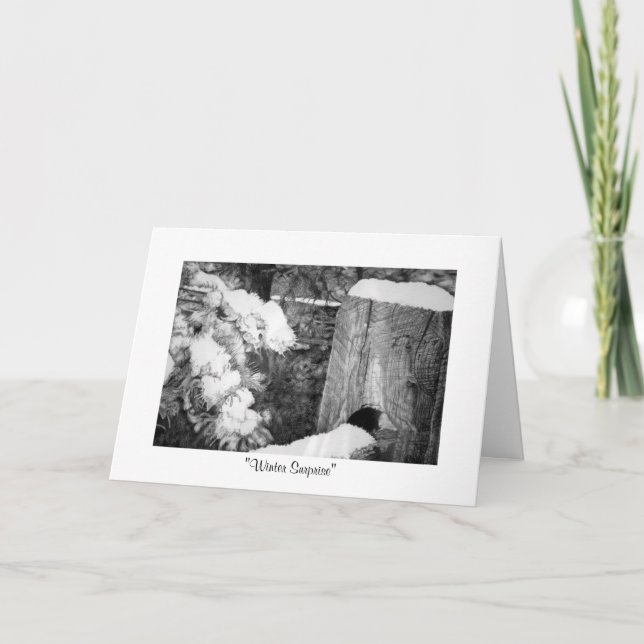 Cartão De Festividades Do "surpresa inverno " (Frente)