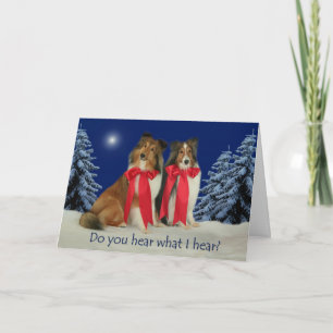 Cartão De Festividades Do You Hear? Sheltie Christmas Card
