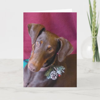 Cartão De Festividades Doberman (azevinho) em sua decoração do Natal!