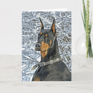Cartão De Festividades Doberman Frosty Day Holiday Card