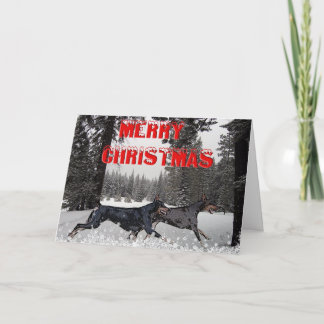 Cartão De Festividades Dobermans do Natal da neve