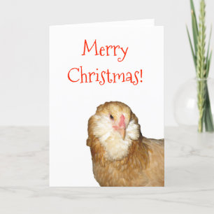 Cartão De Festividades Doce Rare Wheaten Ameraucana Hen Feliz Natal!