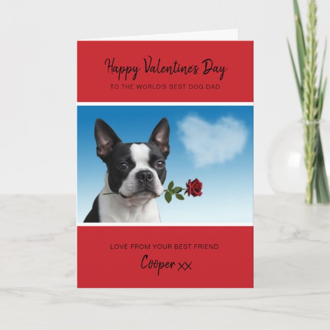 Cartão De Festividades Dog Dad Valentine From Boston Terrier Holding Rose (Frente)