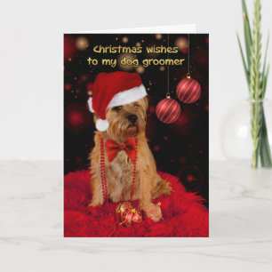 Cartão De Festividades Dog Groomer Christmas Card, Border Terrier