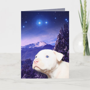 Cartão De Festividades Dog is God spelled backwards...