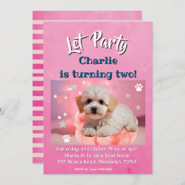 Cartão De Festividades Dog Let's Party Birthday