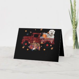 Cartão De Festividades Dog Lover   Maltese Pumpkin Truck Thanksgiving