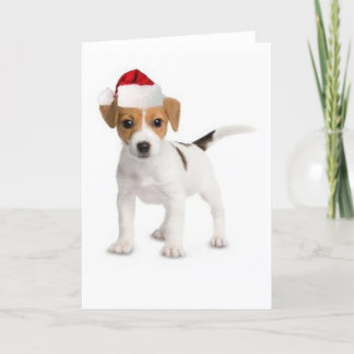 Cartão De Festividades Dogs~Original Ditzy Card~Jack de cumprimento